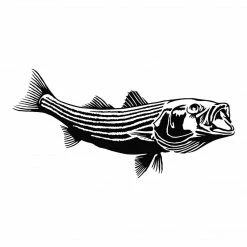 Calcutta Fish Decals - Multiple Species Stickers & Decals