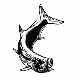 Calcutta Fish Decals - Multiple Species Stickers & Decals