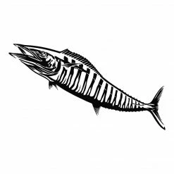 Calcutta Fish Decals - Multiple Species Stickers & Decals