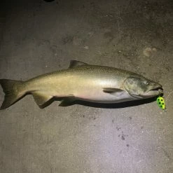 Danielson Fishing Gear Night Fight™ Super Glow Spoons